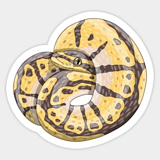 Bumblebee Ball python Sticker